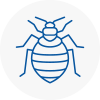 Bed Bug Extermination In Wymondham